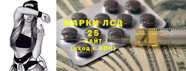 тгк Каменка