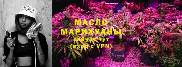 тгк Каменка