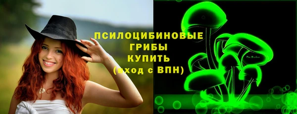 тгк Каменка