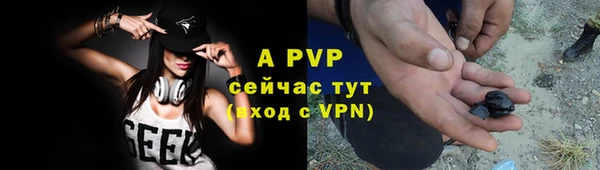 тгк Каменка