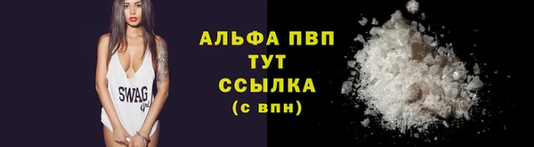 тгк Каменка