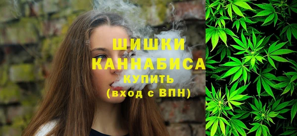 тгк Каменка