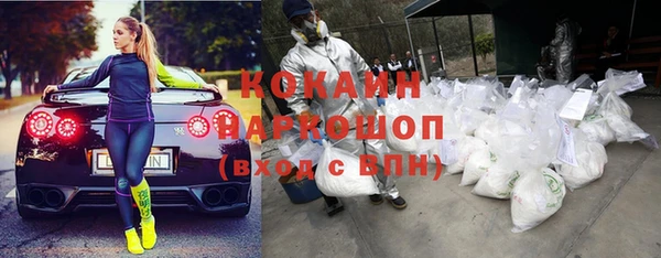 тгк Каменка