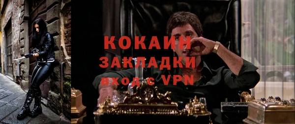 тгк Каменка