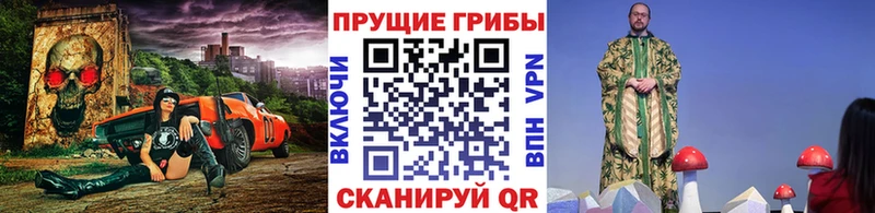 Купить  Ковров  Псилоцибиновые грибы мухоморы 